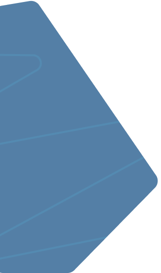 Custom Web Development, App Development &amp; Digital Marketing Solutions in Zirakpur